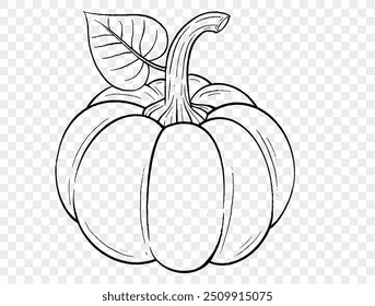Outline pumpkin hand draw with brush style isolated on png or transparent texture,Halloween party background ,element template for poster, brochures, online advertising, vector illustration