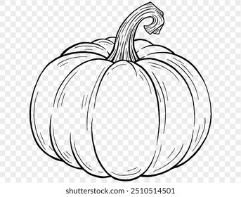 Outline pumpkin hand draw with brush style isolated on png or transparent texture,Halloween party background ,element template for poster, brochures, online advertising, vector illustration