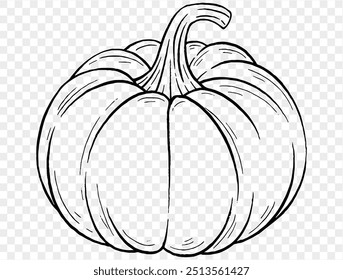 Outline pumpkin hand draw with brush style isolated on png or transparent texture,Halloween party background ,element template for poster, brochures, online advertising, vector illustration