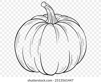 Dibujo de la mano de la calabaza del contorno con el estilo del cepillo aislado en png o textura transparente, fondo del partido de Halloween, Plantilla del elemento para el cartel, folletos, publicidad en línea, Ilustración vectorial