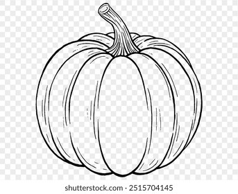 Outline pumpkin hand draw with brush style isolated on png or transparent texture,Halloween party background ,element template for poster, brochures, online advertising, vector illustration