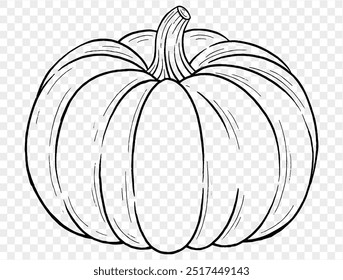 Outline pumpkin hand draw with brush style isolated on png or transparent texture,Halloween party background ,element template for poster, brochures, online advertising, vector illustration