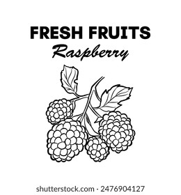 Outline Raspberry Fruit Icon for Brochures, Banners, Restaurant and Menu