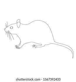 Outline of rat or mouse on white background