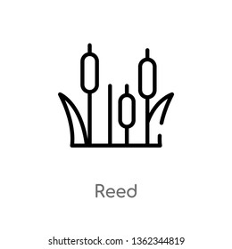 outline reed vector icon. isolated black simple line element illustration from nature concept. editable vector stroke reed icon on white background