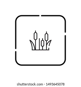 Outline reed vector icon. Isolated black simple line element illustration from nature concept. Editable vector stroke reed icon on white background