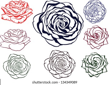 outline rose flowers