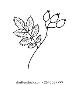 Contorno Rose quadril com folha e espinho Ícone Logotipo Pictograma Minimalista Design Elemento ideia