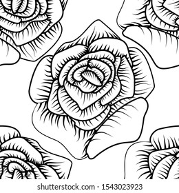 Outline rose on white background. Vector floral pattern. Background decoration. Floral seamless pattern