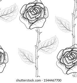 Outline rose on white background. Vector floral pattern. Background decoration. Floral seamless pattern.