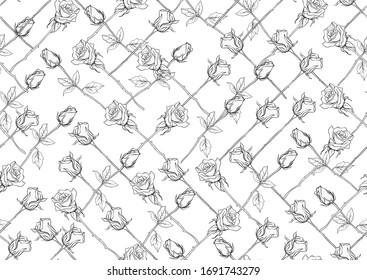 Outline roses seamless pattern, background. Black and white graphics. Vector illustration.