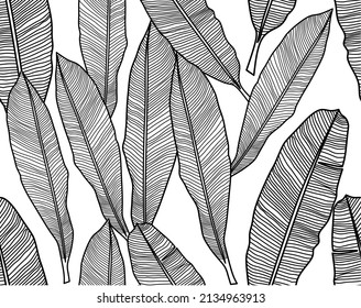 outline Seamless pattern with banana leaves isolated on white background. Decorative image of tropical foliage and plants