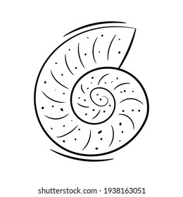 outline seashell isolated on white background