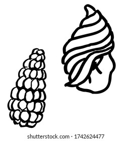 Outline seashell on white isolated backdrop. Drawn corn for invitation or gift card, diving club logo, notebook sticker, bath tile. Phone case or cloth print. Doodle style stock vector illustration