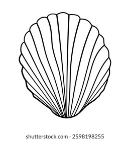 Outline Seashell Vector. Hand Drawn Illustration.