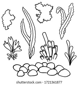 Outline seaweed on white isolated backdrop. Aquarium plants for invitation or gift card, pet shop logo, diving club, bath tile. Phone case or cloth print art. Doodle style stock vector illustration