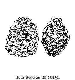 Conjunto de contornos de iconos de vector de cono aislados en fondo blanco. Imagen dibujada a mano en blanco y negro.