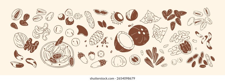 Contorno conjunto de diferentes nozes. Comida saudável desenhada à mão com casca: noz, amendoim, caju, amêndoa. Lanches crocantes: pistácio, sementes de girassol, avelã. Ilustrações isoladas planas de vetor de desenho