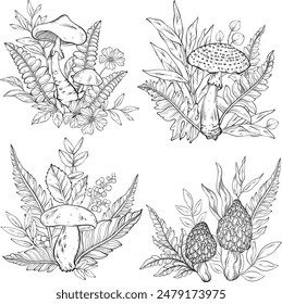 Outline Set of different types of mushrooms, grass and berries, ferns. Vector illustration