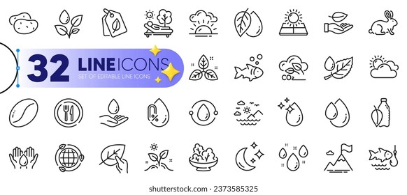 Outline set of Fishing, Leaf and Rainy weather line icons for web with Coffee beans, Oil drop, Mineral oil thin icon. Salad, Eco energy, Fish pictogram icon. Sea mountains, Sunny weather. Vector