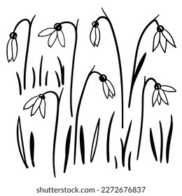 Outline-Set-Illustration von Schneefällen, die ersten Frühlingsblumen