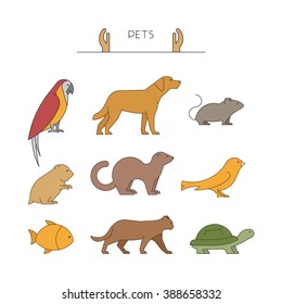 Outline set of pets. Linear silhouettes animals isolated on white. Line group of pets. Vector icons parrot, dog, mouse and hamster. Outline silhouette hamsters, canaries, cats and turtles.
