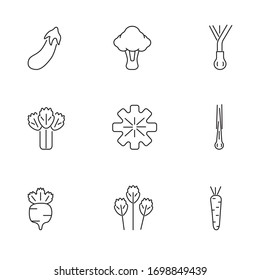 Outline set of vegetables vector icons for web design, mobile app isolated on white background. UI/UX design components