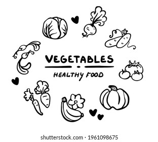Outline set of vegetables for your design. Hand-drawn vector illustration. Logotyre, card, label, banner, stamp. Pumpkin, cabbage, carrot, cucumber, tomato, radish, beetroot, squash.