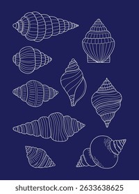 Coleção do Shell de Estrutura de Tópicos. Isolado concha submarina espiral mar. Desenho de mão linear branco rabiscar sobre fundo azul. Ilustração vetorial