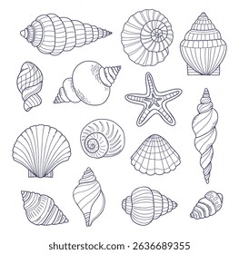 Outline Shell collection. Isolated underwater sea conch. linear hand drawing doodle on white background. Vector illustration