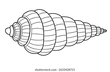 Shell de estrutura de tópicos. Espiral concha mar. mão linear desenho doodle. Ilustração vetorial