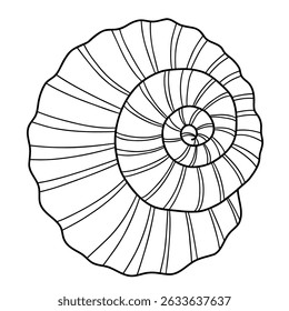 Shell de estrutura de tópicos. Espiral concha mar trançado. mão linear desenho doodle. Ilustração vetorial