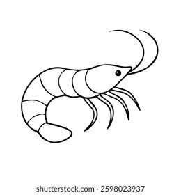 Outline of Shrimp, on white background