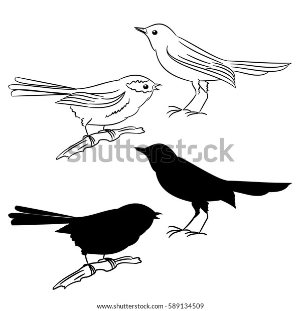 Outline Silhouette Birds Set Two Illustration Stock Vector (Royalty ...