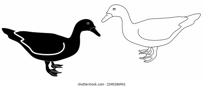 outline silhouette Cairina moschata domestica icon set isolated on white background.muscovy duck vector