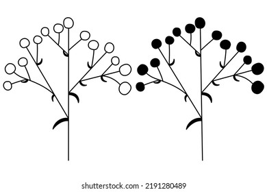 The outline of the silhouette of flower inflorescences in plants on the stem. Vector isolated