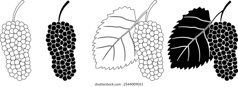 outline silhouette Morus alba icon set
