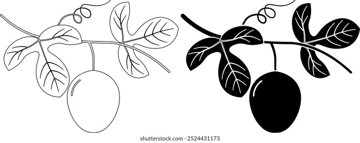 outline silhouette passion fruit with leaves icon set