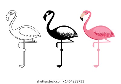 Outline and silhouettes flamingo vector isolated on white background. Bird flamingo silhouette and outline illustration