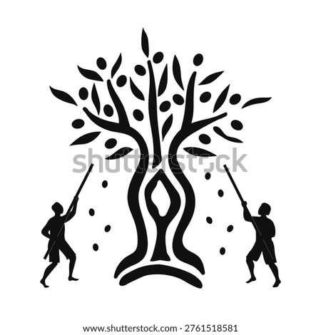 Outline silhouettes of two men piking the olives from the tree. People collect the olives directly from the tree. Vector isolated illustration.