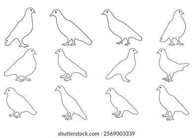 Outline Simple Pigeon Bird Illustration Design Set