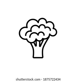 Outline, simple vector broccoli icon isolated on white background. eps 10