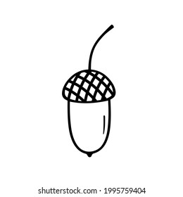 Outline of a single acorn. Contour of an oak fruit. Isolated element on a white background. Doodle. 