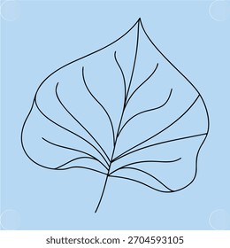 Esquema de una sola hoja con las venas de las hojas de la planta azul claro