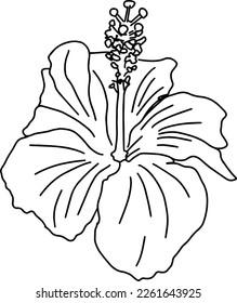 Outline sketch of a big flower with pistils and stamens in doodle tattoo style