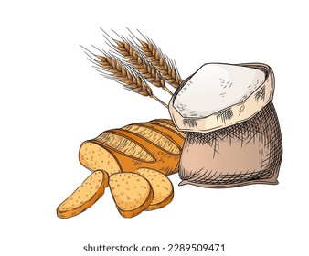 Outline sketch of fresh tasty white bread with bag of flour hand drawn style vector illustration on white background