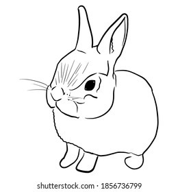 Outline sketch of isolated rabbit in doodle style. Vector illustration
