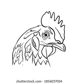 Esbozo de esquema de la cabeza aislada de gallo en perfil con peine de ojo y gallo. Ilustración del vector