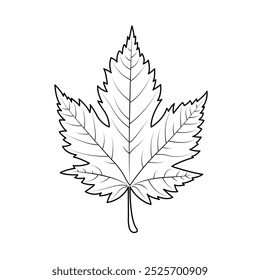 Bosquejo De La Línea De Hoja De Arce Trazo De Arte Diseño Mínimo Otoño Hoja Ilustración vectorial