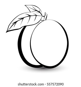 Outline sketch monochrome peach. Black and white elegant contour of the fruit. Drawing for coloring and design packaging for juices, diet food.